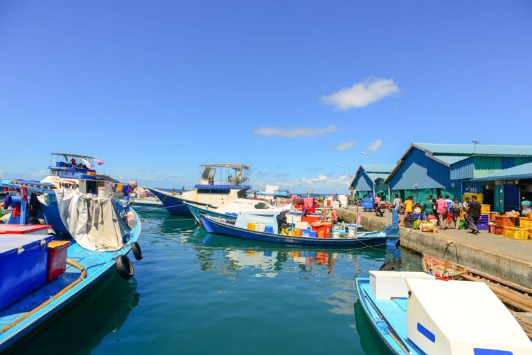 Local Fish Market