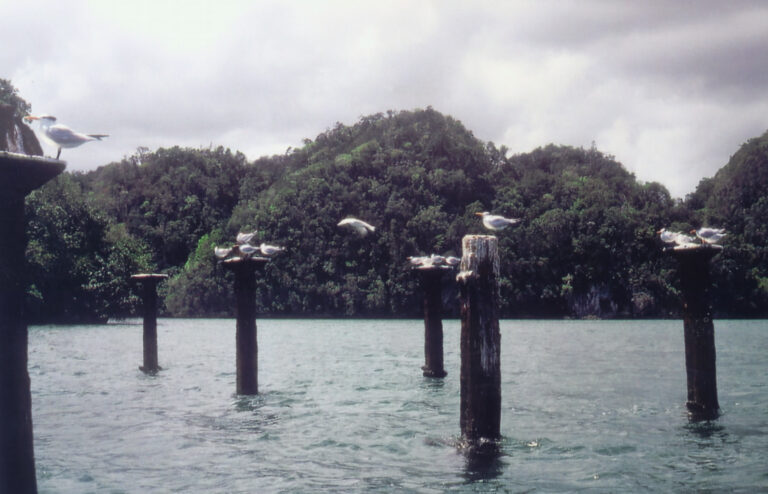 Los Haitises National Park