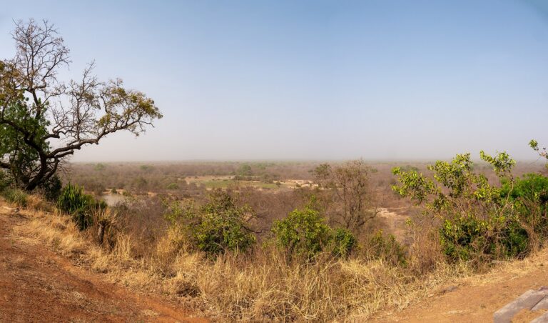 Mole National Park