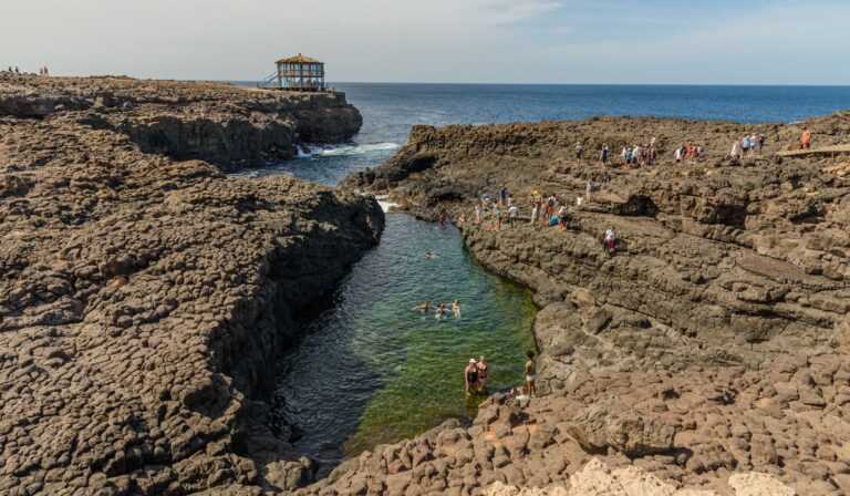 Natural Pool