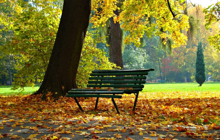 Planty Park