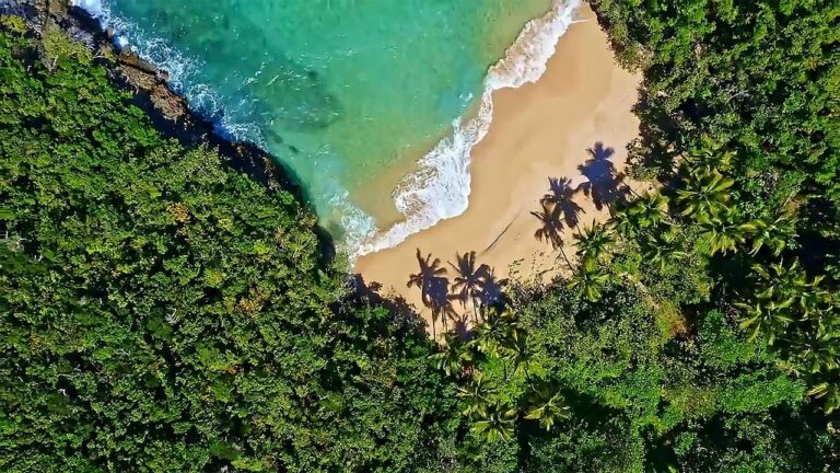 Samana Bay