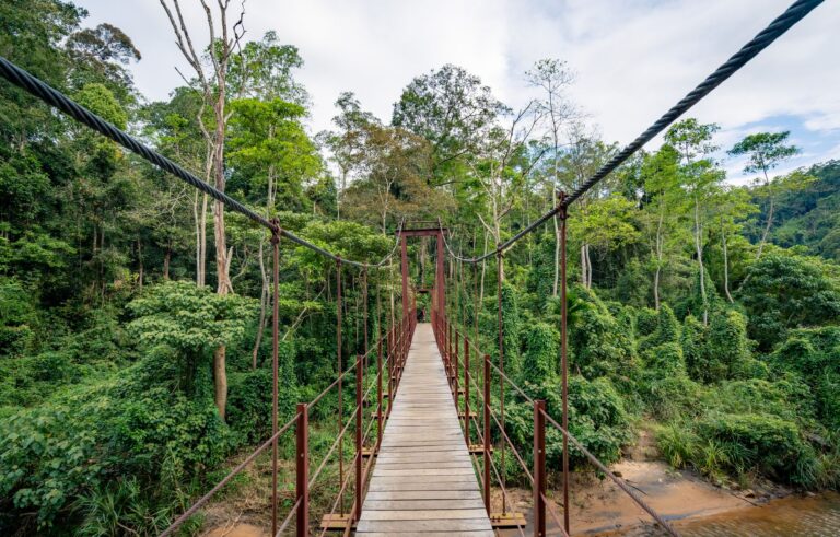 Tasek Merimbun Heritage Park