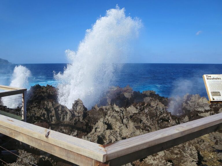 The Blowholes