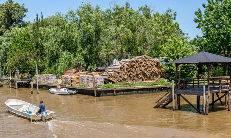 Tigre Delta