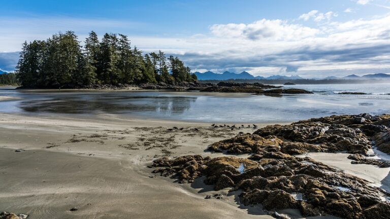 Tofino