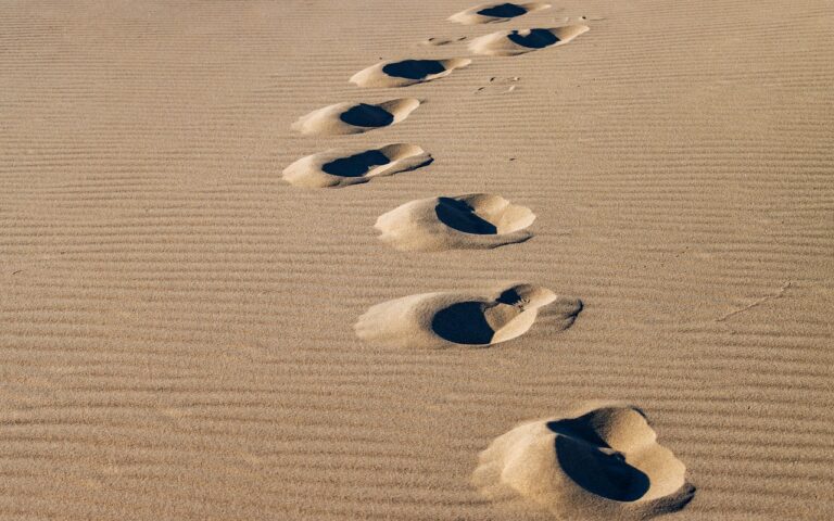 Wahiba Sands