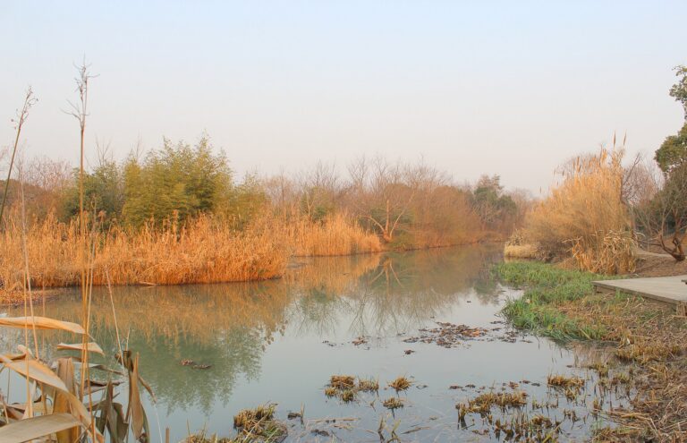 Xixi National Wetland Park