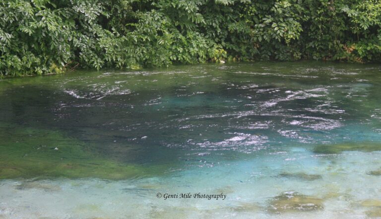 The Blue Eye Spring